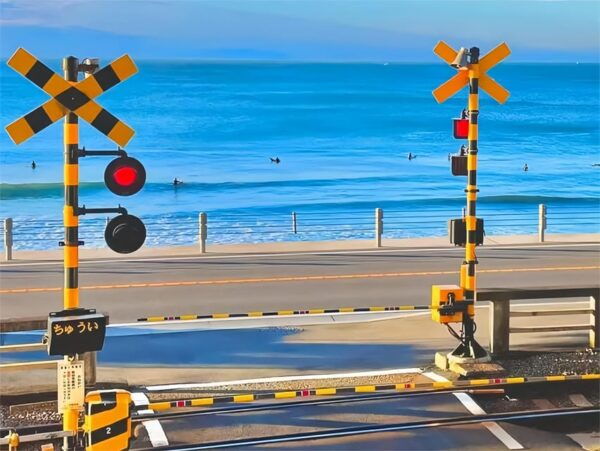 Tokyo Kamakura Day Trip - Best Time to Visit