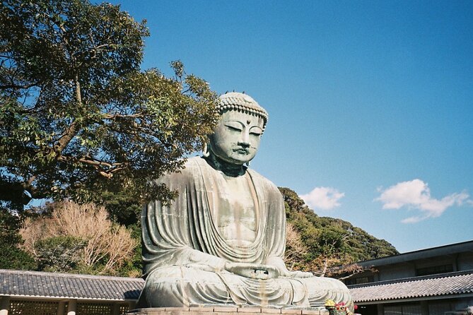 Tokyo Kamakura Day Trip - Itinerary Highlights
