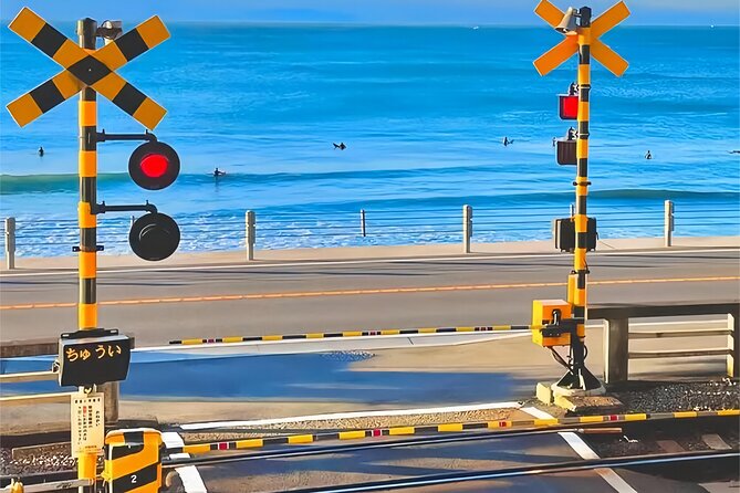 Tokyo Kamakura Day Trip - What to Expect