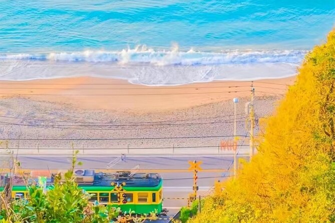 Tokyo Kamakura Day Trip - Confirmation and Accessibility