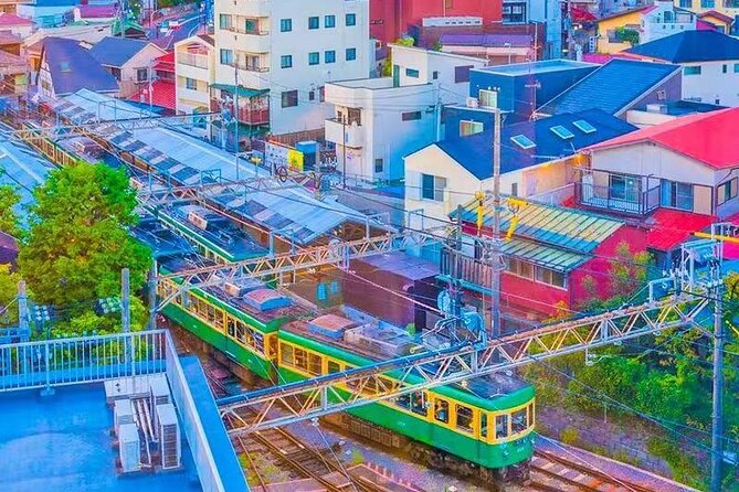 Tokyo Kamakura Day Trip - Pricing and Availability