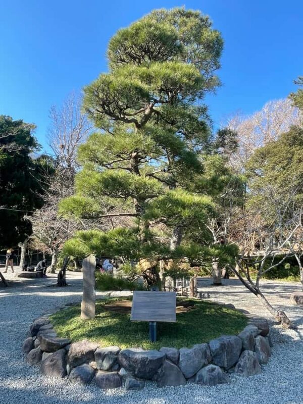 Tokyo: Kamakura Day Trip with Great Buddha & Temples - The Sum Up