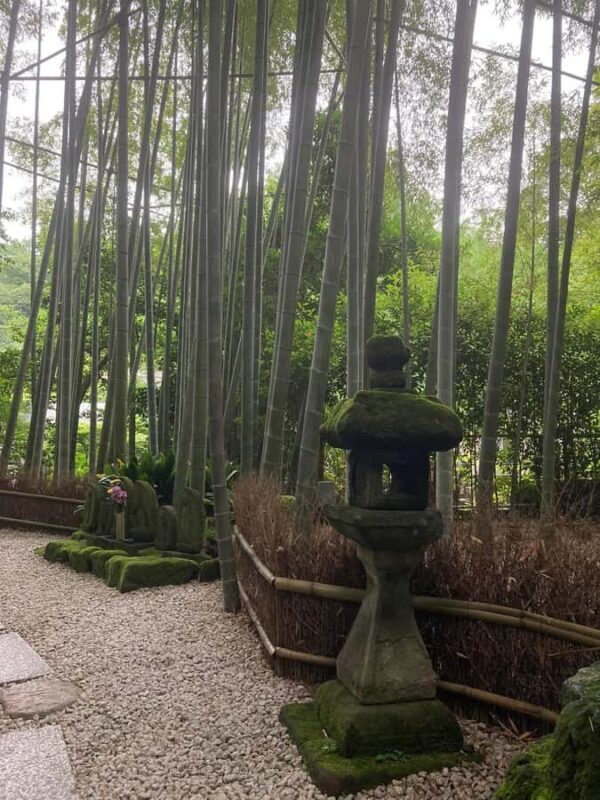 Tokyo: Kamakura Day Trip with Great Buddha & Temples - The Return Journey and Final Thoughts