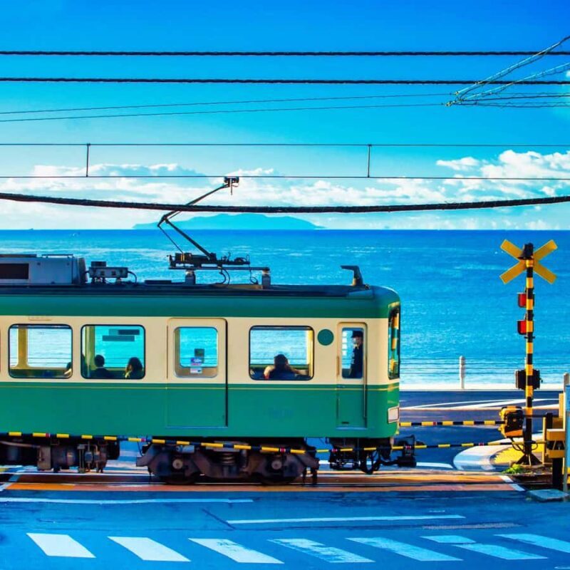 Tokyo: Kamakura & Enoshima private tour - Giant Buddha - Why This Tour Offers Great Value