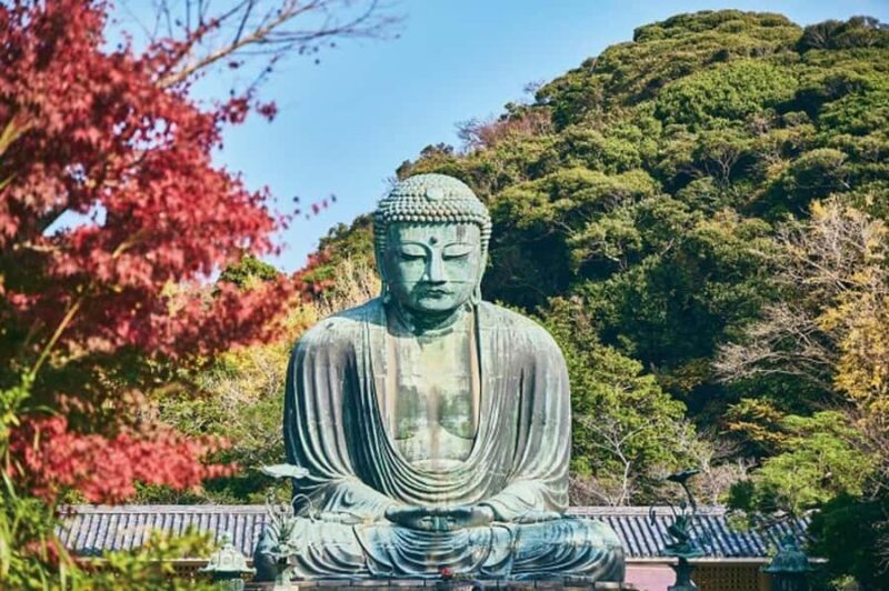 Tokyo: Kamakura Full Day Private Customizable Tour - The Journey Begins: Hotel Pickup and Transportation