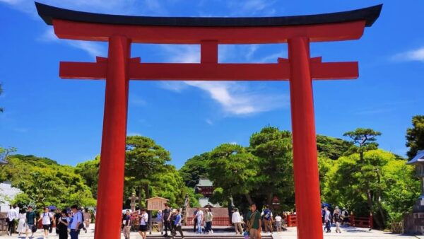 Tokyo & Kamakura: Modern City to Ancient City Full-Day Tour - Important Travel Tips