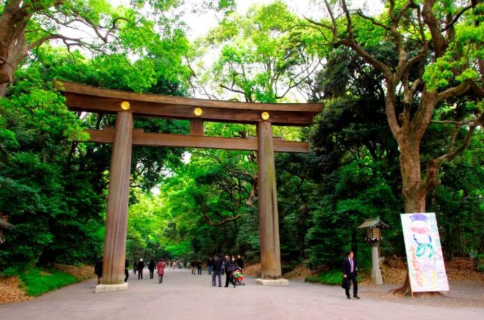 Tokyo/ Kamakura/ Mount Fuji/ Mount Omuro Customized Small Group Tour - Route B: Kamakura’s temples and shoreline