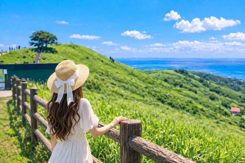 Tokyo/ Kamakura/ Mount Fuji/ Mount Omuro Customized Small Group Tour - Price, timing, and the real value