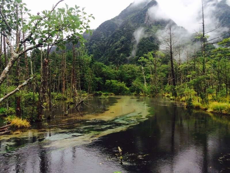 Tokyo Kamikochi & Lake Suwa Full-Day Tour with Bus - Who is likely to enjoy this day