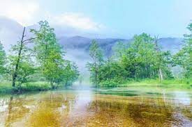 Tokyo Kamikochi & Lake Suwa Full-Day Tour with Bus - Booking details to check
