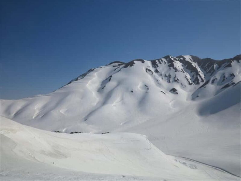 Tokyo: Kamikochi & Tateyama Kurobe Snow Wall 2-Day Tour - Who Will Love This Tour?