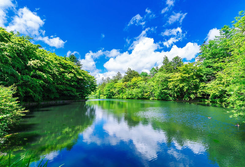 Tokyo, Karuizawa, and Kawagoe Little Edo Day Trip - Karuizawa: Decide Between the Pond and the Outlets