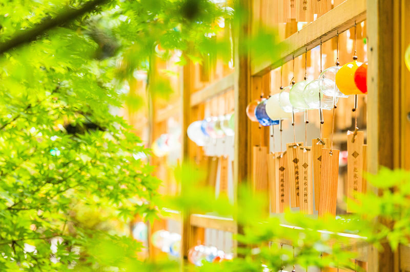 Tokyo, Karuizawa, and Kawagoe Little Edo Day Trip - Who Should Book This Tour?