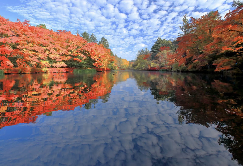 Tokyo Karuizawa Full-Day Private Customizable Tour - Key points before you book
