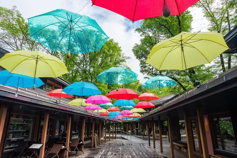 Tokyo Karuizawa Full-Day Private Customizable Tour - What this Tokyo to Karuizawa day trip offers