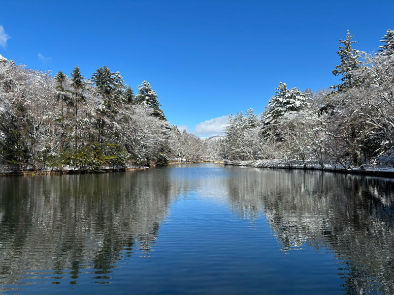Tokyo Karuizawa Full-Day Private Customizable Tour - The guide can make the difference