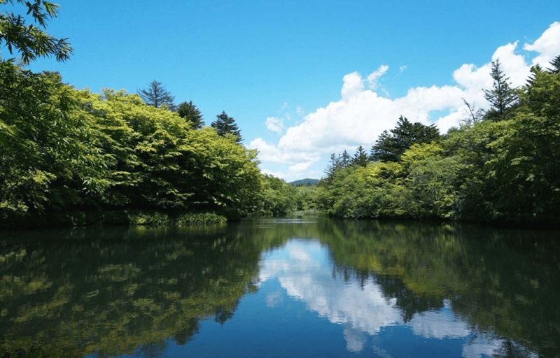 Tokyo Karuizawa Romantic Small Group Day Tour - Karuizawa is the reason to leave Tokyo