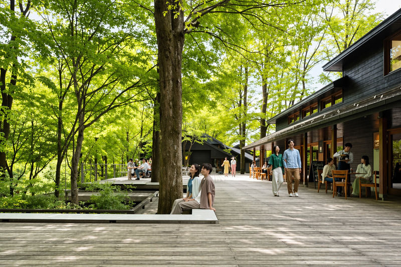 Tokyo Karuizawa Romantic Small Group Day Tour - Scenery and autumn color