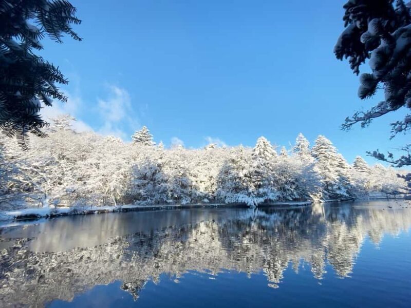 Tokyo: Karuizawa Scenic Highlights & Outlet Shopping Tour - A Thorough Look at the Itinerary and What Youll Experience