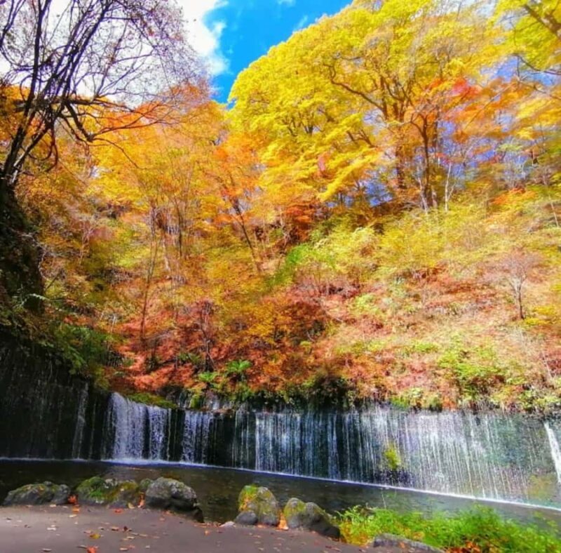 Tokyo: Karuizawa Scenic Highlights & Outlet Shopping Tour - Who Will Appreciate This Tour?