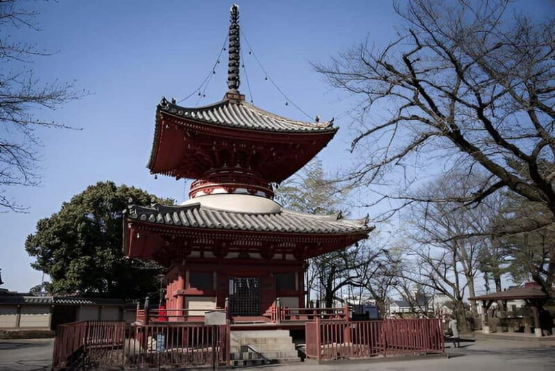 Tokyo: Kawagoe Private Day Trip with National Licenced Guide - Transportation & Group Dynamics