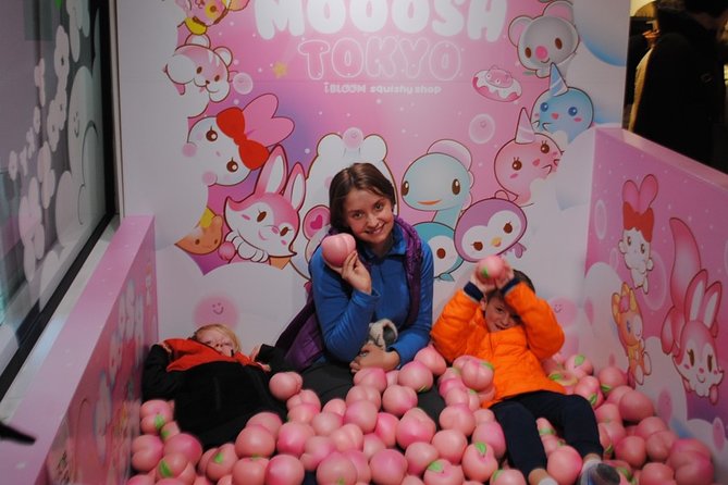 Tokyo Kawaii Tour Near Shinjuku Shibuya Harajuku - Meeting and Pickup Information