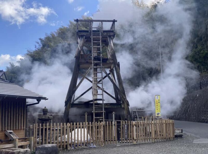 Tokyo: Kawazu Cherry Blossom & Onsen Small-Group Trip - The Sum Up