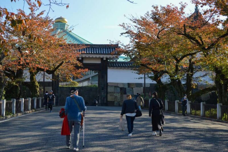 Tokyo: Kitanomaru Park Autumn Leaves Stroll - A Closer Look at the Tour Itinerary