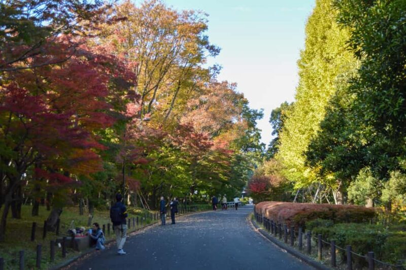 Tokyo: Kitanomaru Park Autumn Leaves Stroll - FAQ