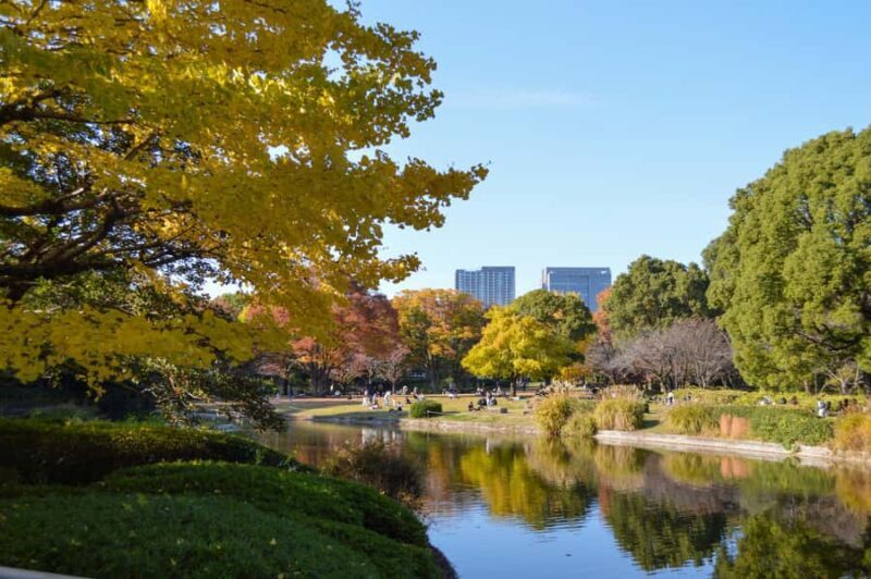 Tokyo: Kitanomaru Park Autumn Leaves Stroll - Who Is This Tour Best For?