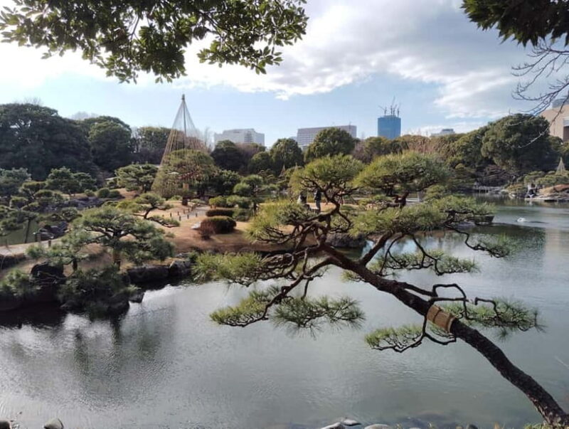 Tokyo: Kiyosumi, Hama-Rikyu, and Kyu-Yasuda Garden Tour - An In-Depth Look at the Gardens and Experience