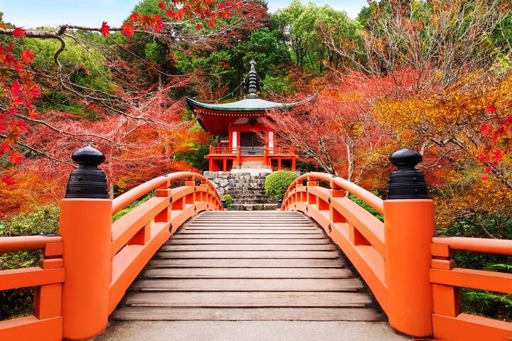 Tokyo, Kyoto, Alps and Fuji (including Jigokudani Valley) by Europamundo - 8-Day Tour - One week from Tokyo to the Fuji region