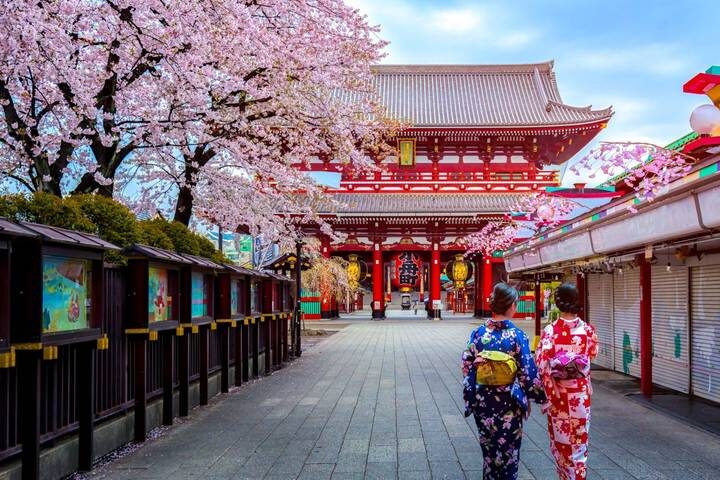 Tokyo, Kyoto, Alps and Fuji (including Jigokudani Valley) by Europamundo - 8-Day Tour - Group size and guide language
