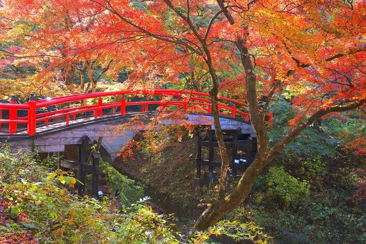 Tokyo, Kyoto and Alps by Europamundo - 6-Day Tour (2026-27 Departures) - Nikko’s shrine complex and the return to Tokyo