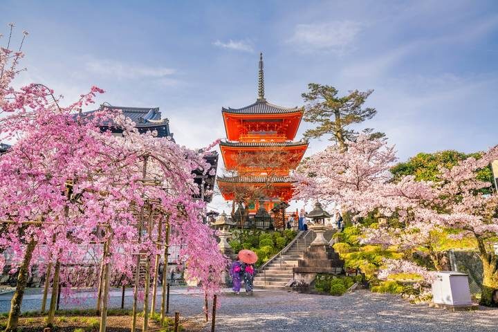 Tokyo, Kyoto and Hiroshima end Tokyo by Europamundo - 7-Day Tour (2026-27 Departures) - Nara’s Great Buddha and Osaka after dark