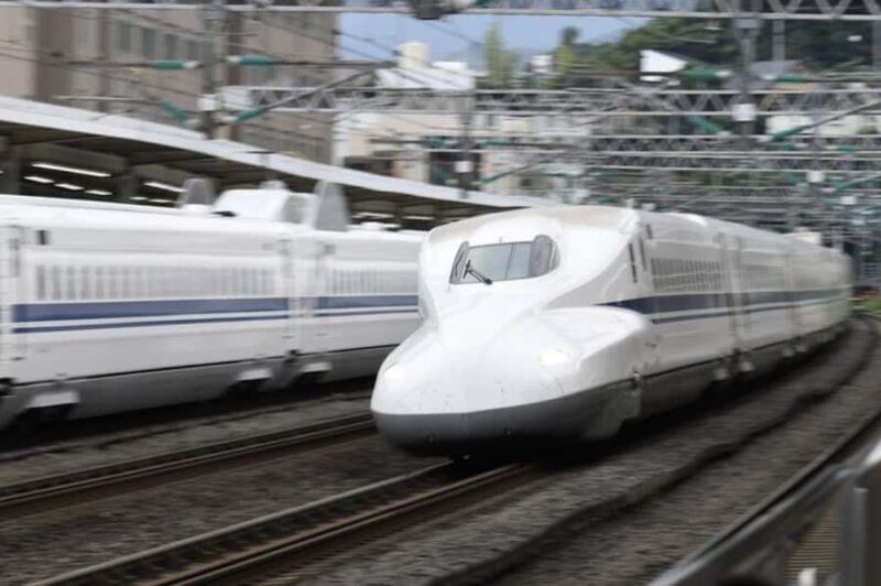 Tokyo: Kyoto Day Trip by Bullet Train with Licensed Guide - Nishiki Market: A Food and Shopping Paradise