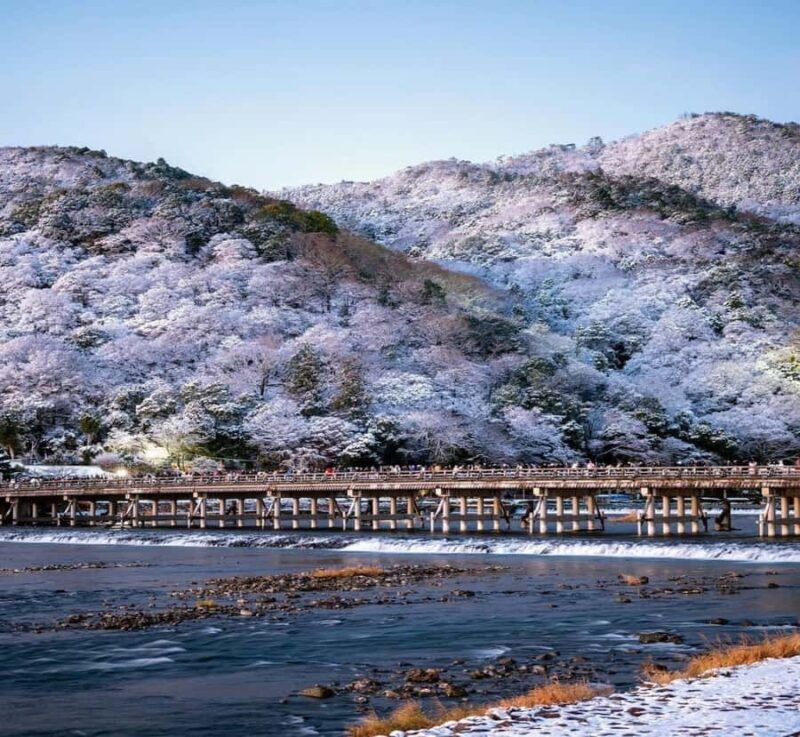 Tokyo: Kyoto Private Customized Tour with Guide & Transfer - Final Thoughts