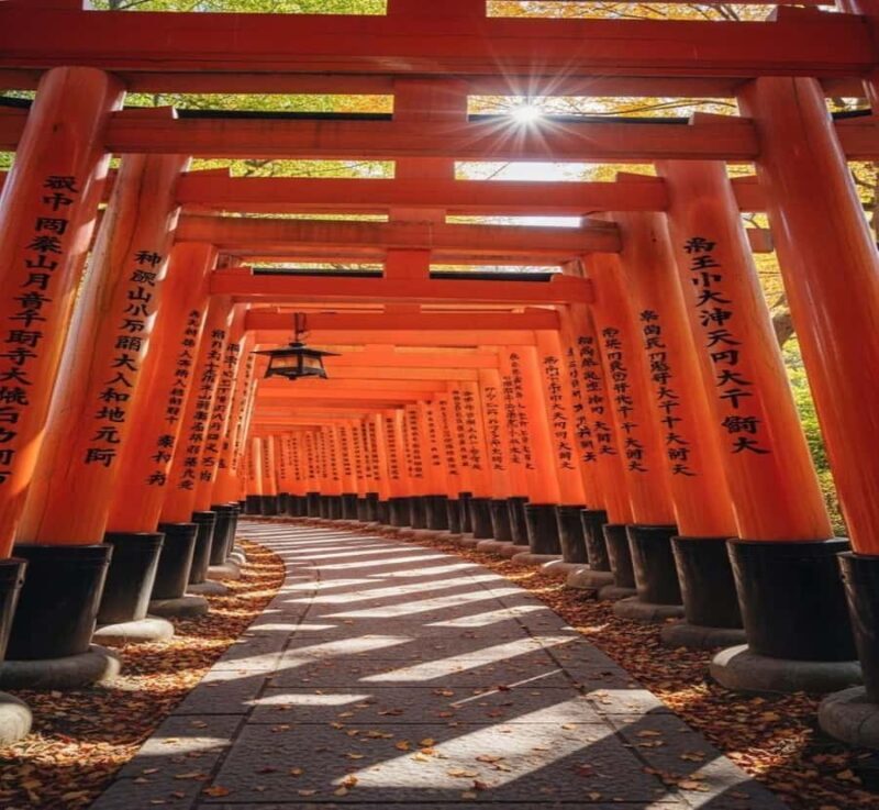 Tokyo: Kyoto Private Customized Tour with Guide & Transfer - FAQ