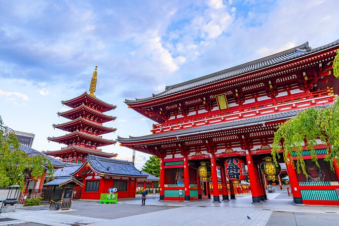 Tokyo Layover Tour English Speaking Driver Only : NRT Airport Dep - Tour Details and Inclusions
