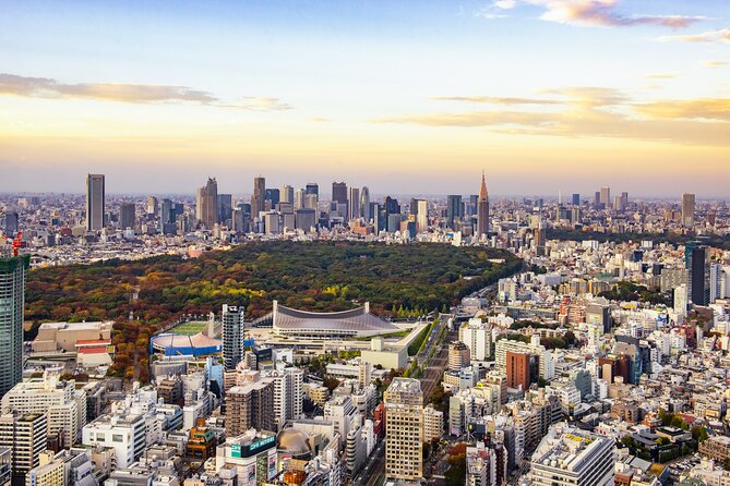 Tokyo Layover Tour With Licensed Guide & Vehicle: NRT Airport Dep - Tour Details and Inclusions
