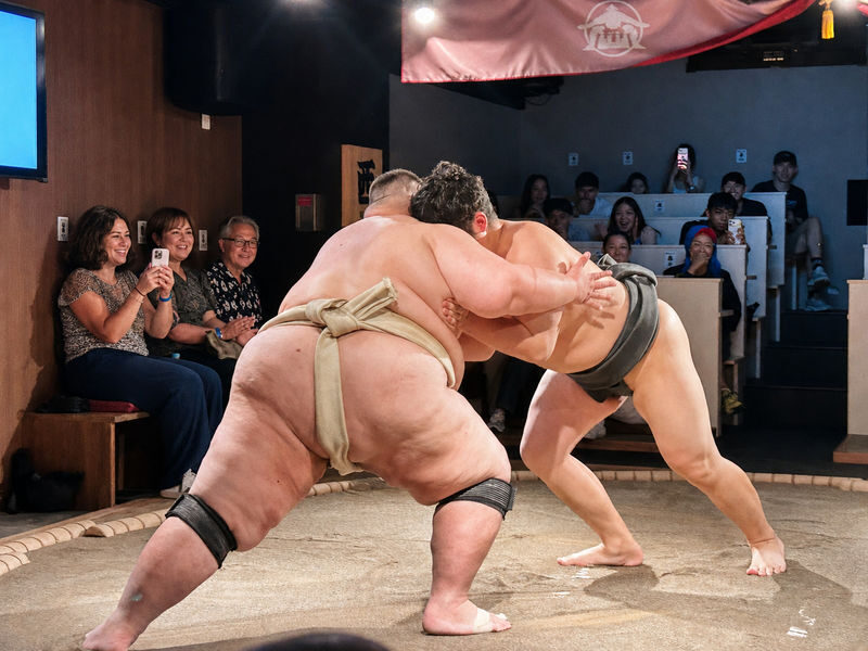 Tokyo Live Sumo Show & Interactive Experience - Sumo show highlights at a glance