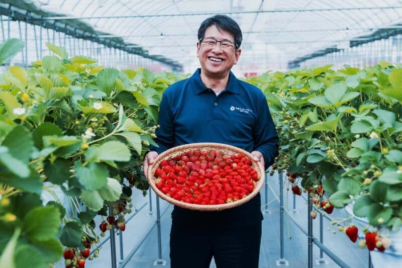 Tokyo: lkaho Onsen,Kawagoe,Strawberry Picking with Kobe Beef - Kawagoe’s Historic Sights