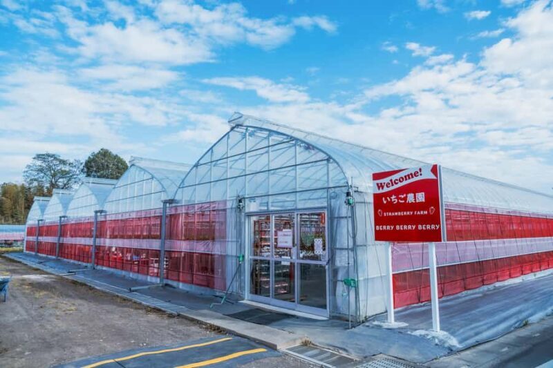 Tokyo: lkaho Onsen,Kawagoe,Strawberry Picking with Kobe Beef - Lunch: Kobe Beef Shabu-Shabu