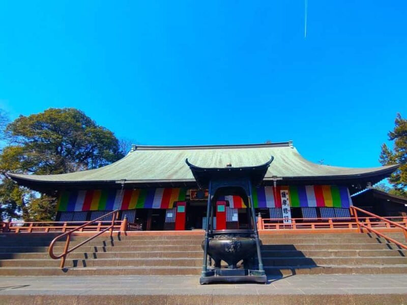 Tokyo: lkaho Onsen,Kawagoe,Strawberry Picking with Kobe Beef - Who Is This Tour Best For?