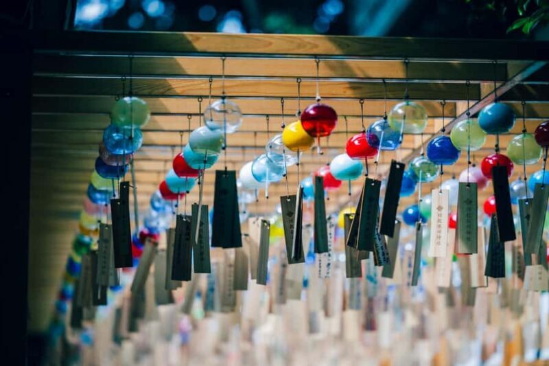 Tokyo: lkaho Onsen,Kawagoe,Strawberry Picking with Kobe Beef - Final Thoughts