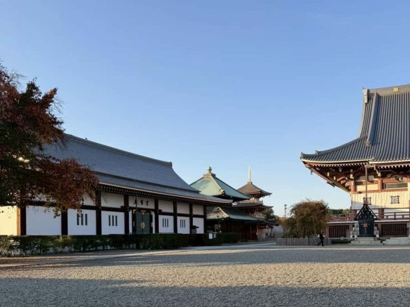 Tokyo: Local Culture Tour with Sushi and Art Experience - What You’ll Love and What to Keep in Mind