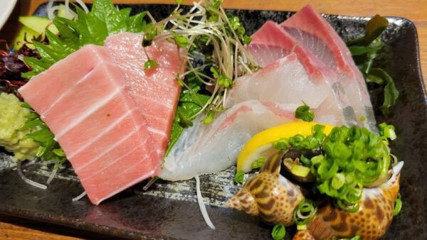 Tokyo Localized Food and Bar Hopping Nights in Shinjuku - Photo Opportunities and Memories