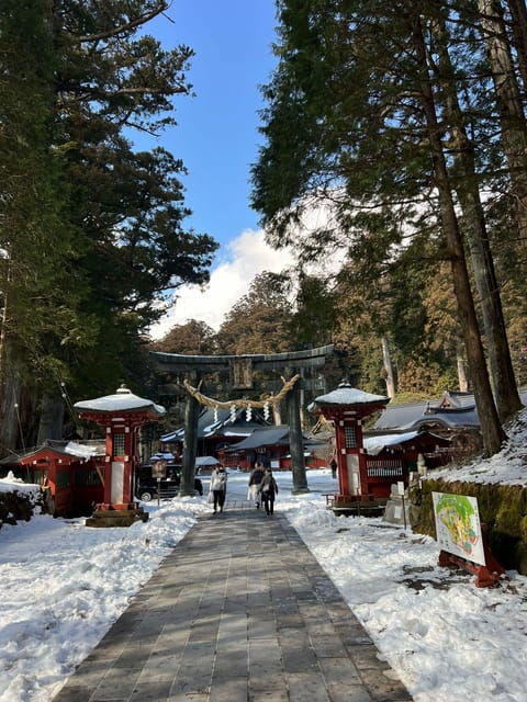 Tokyo: Luxury Snow Monkey Park Private Tour In Land Cruiser - Accessibility Features