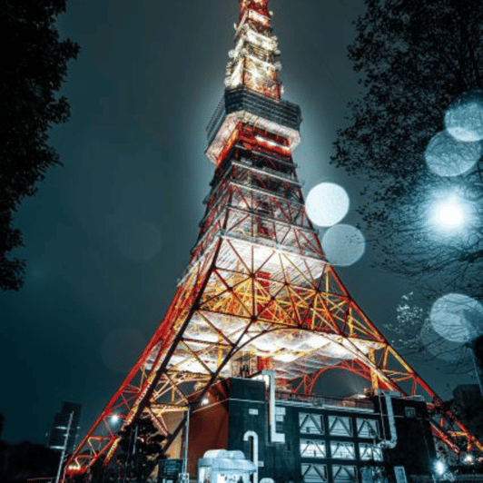 Tokyo: Luxury Tokyo Private City Tour In Luxury Land Cruiser - Good To Know