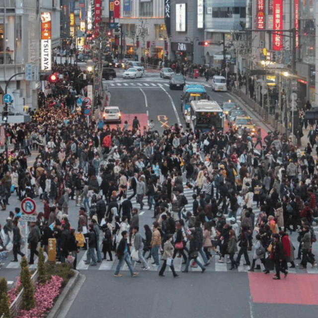 Tokyo: Luxury Tokyo Private City Tour In Luxury Land Cruiser - Itinerary Highlights